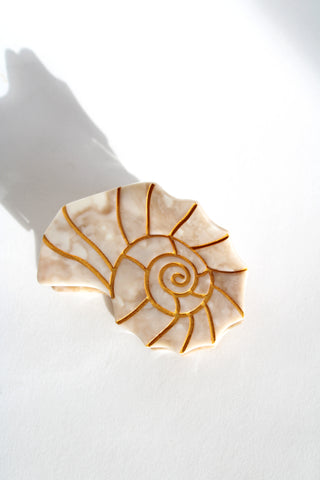 Hand-Painted Sundial Shell Claw Hair Clip Golden Sand