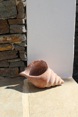 Shell Sculpture in Clay