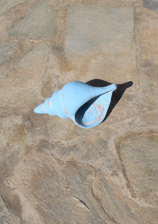 Shell Sculpture in blue