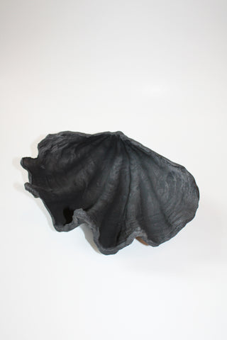 Clamshell Sculptural Dish in Charcoal