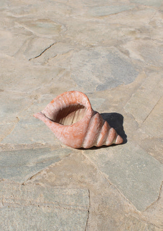 Shell Sculpture in Clay