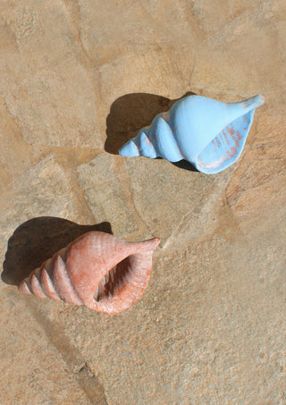 Shell Sculpture in Clay