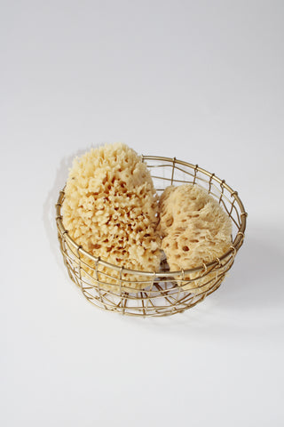 Small Round Wire Basket in Brass